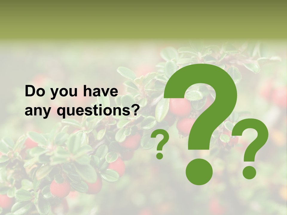 Slope Strathcona Woods PowerPoint Template