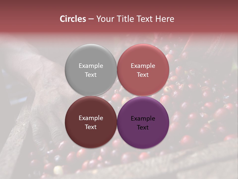 Exploit Bin Finger PowerPoint Template
