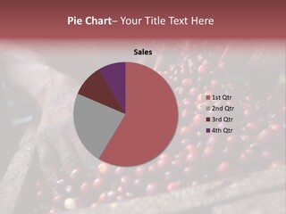 Exploit Bin Finger PowerPoint Template