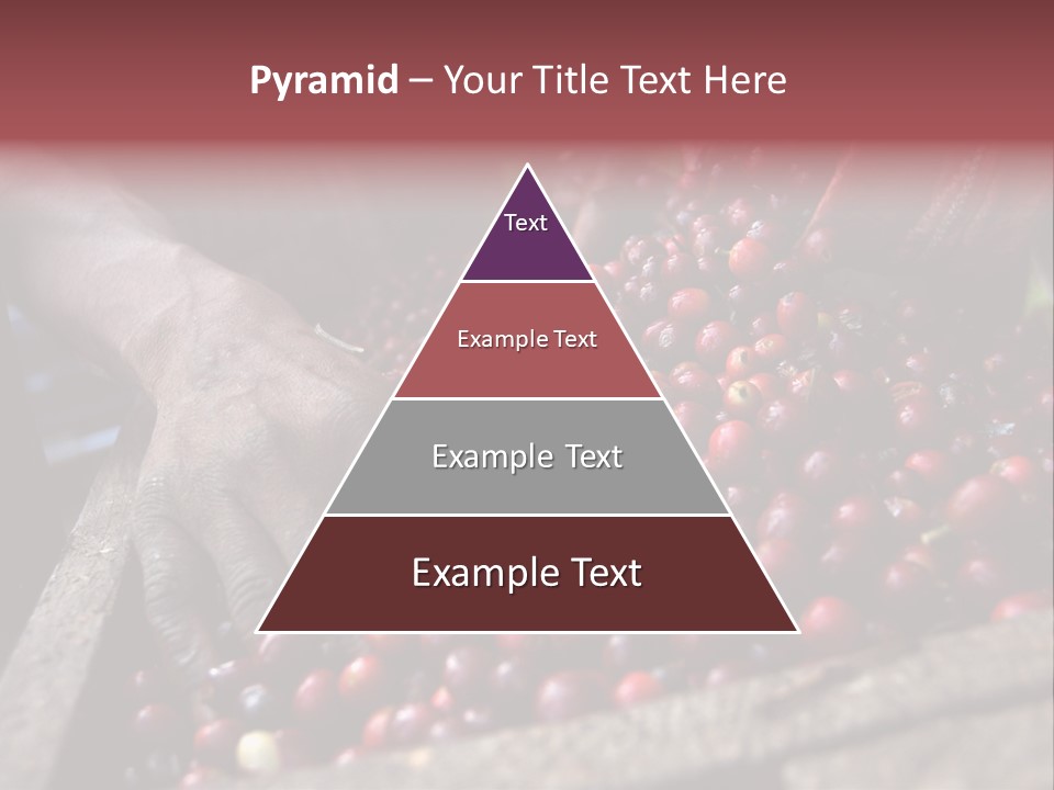 Exploit Bin Finger PowerPoint Template