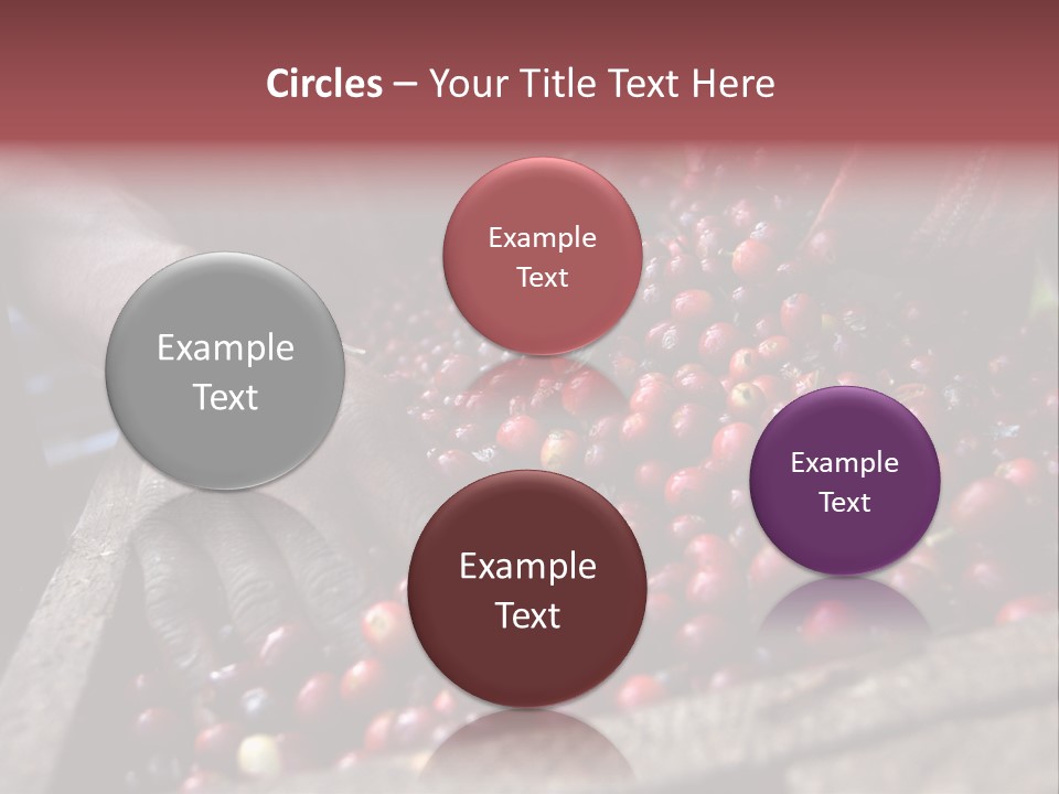 Exploit Bin Finger PowerPoint Template