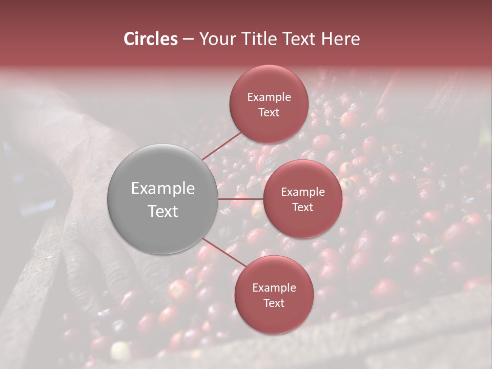 Exploit Bin Finger PowerPoint Template
