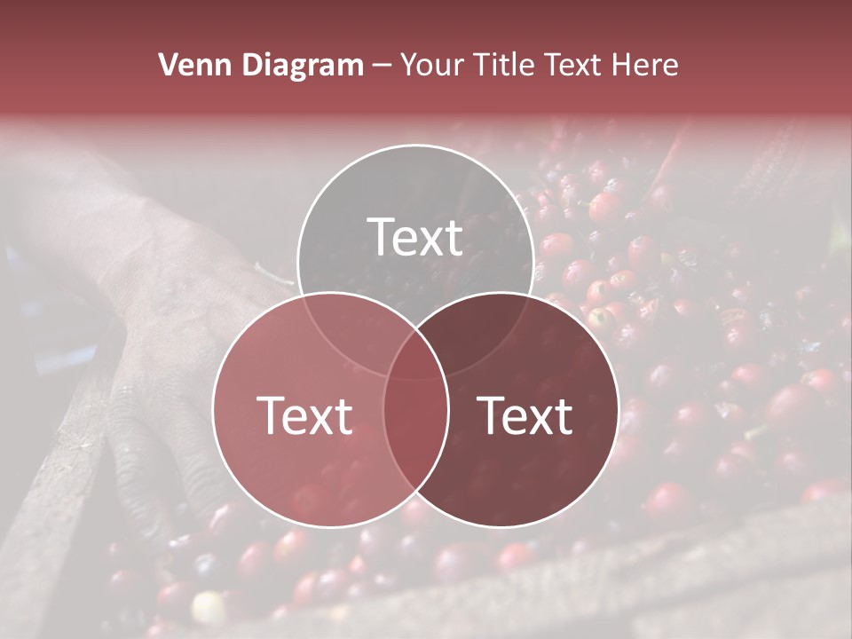 Exploit Bin Finger PowerPoint Template