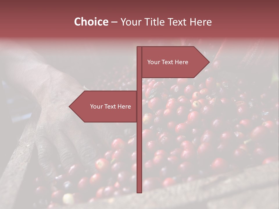 Exploit Bin Finger PowerPoint Template
