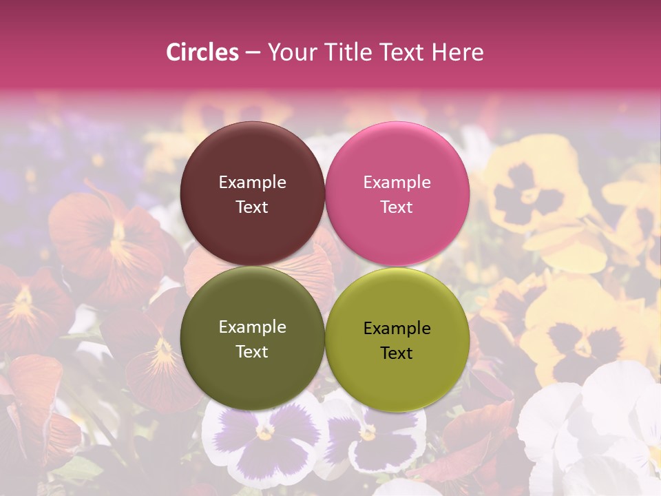 Plant Colored Gardening PowerPoint Template