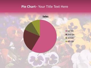 Plant Colored Gardening PowerPoint Template