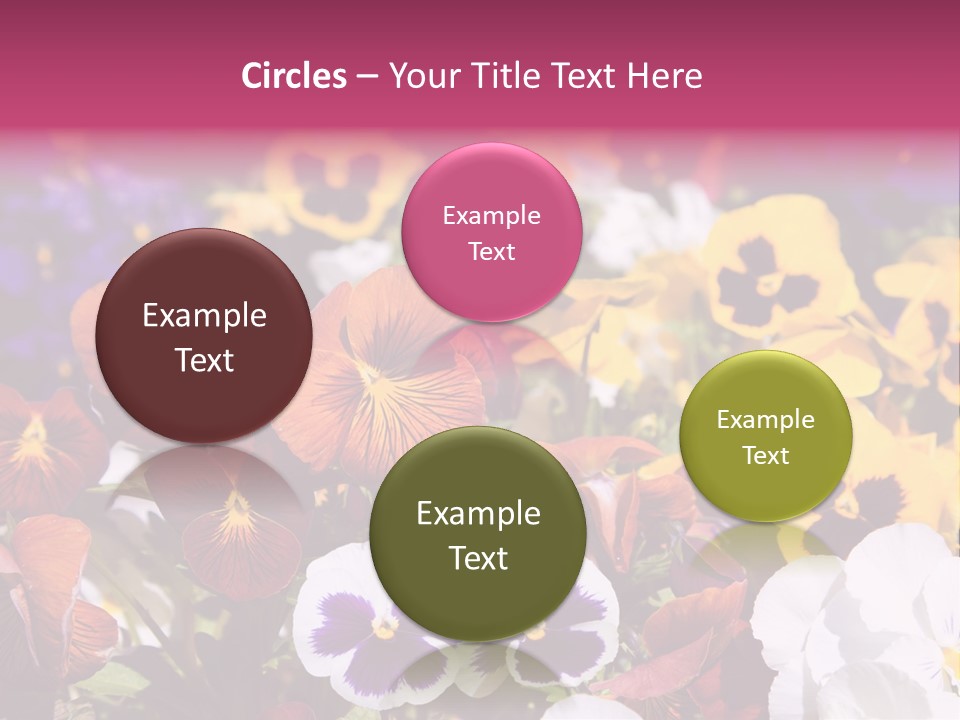 Plant Colored Gardening PowerPoint Template