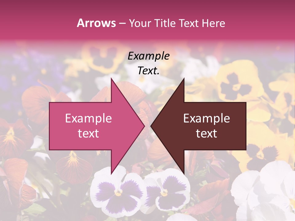 Plant Colored Gardening PowerPoint Template