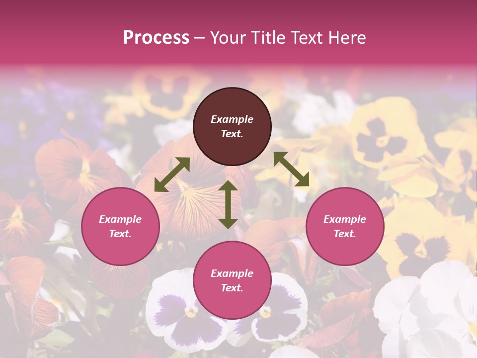 Plant Colored Gardening PowerPoint Template