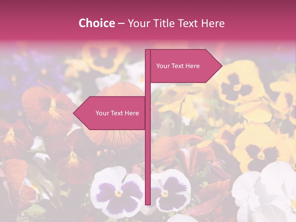 Plant Colored Gardening PowerPoint Template