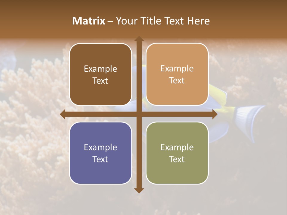 Fish Beauty Beautiful PowerPoint Template