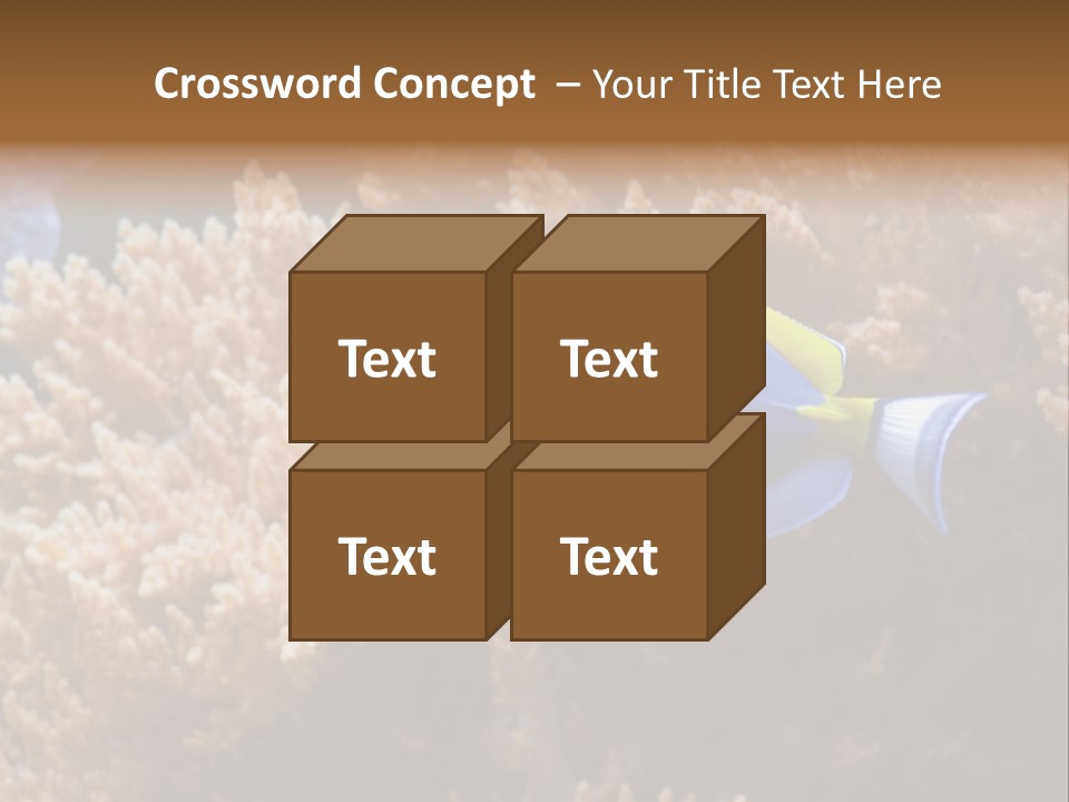 Fish Beauty Beautiful PowerPoint Template