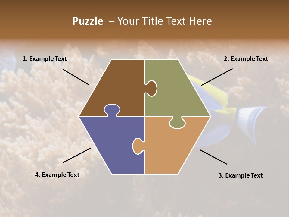 Fish Beauty Beautiful PowerPoint Template