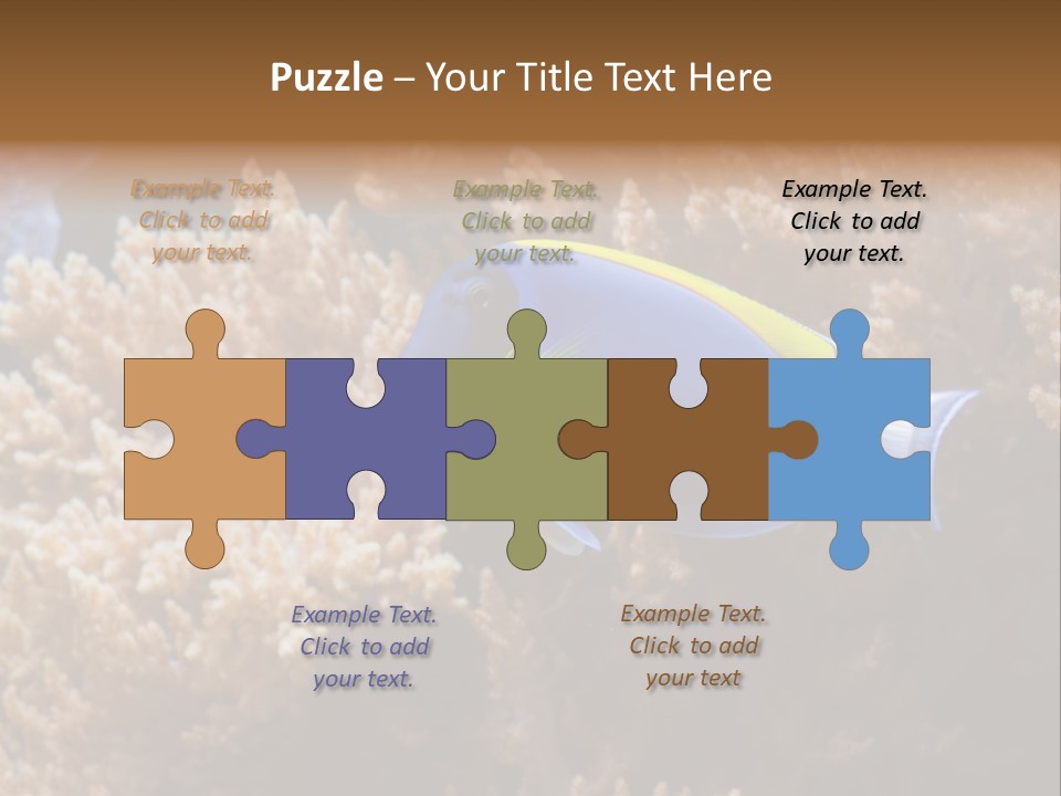 Fish Beauty Beautiful PowerPoint Template