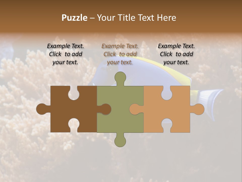 Fish Beauty Beautiful PowerPoint Template