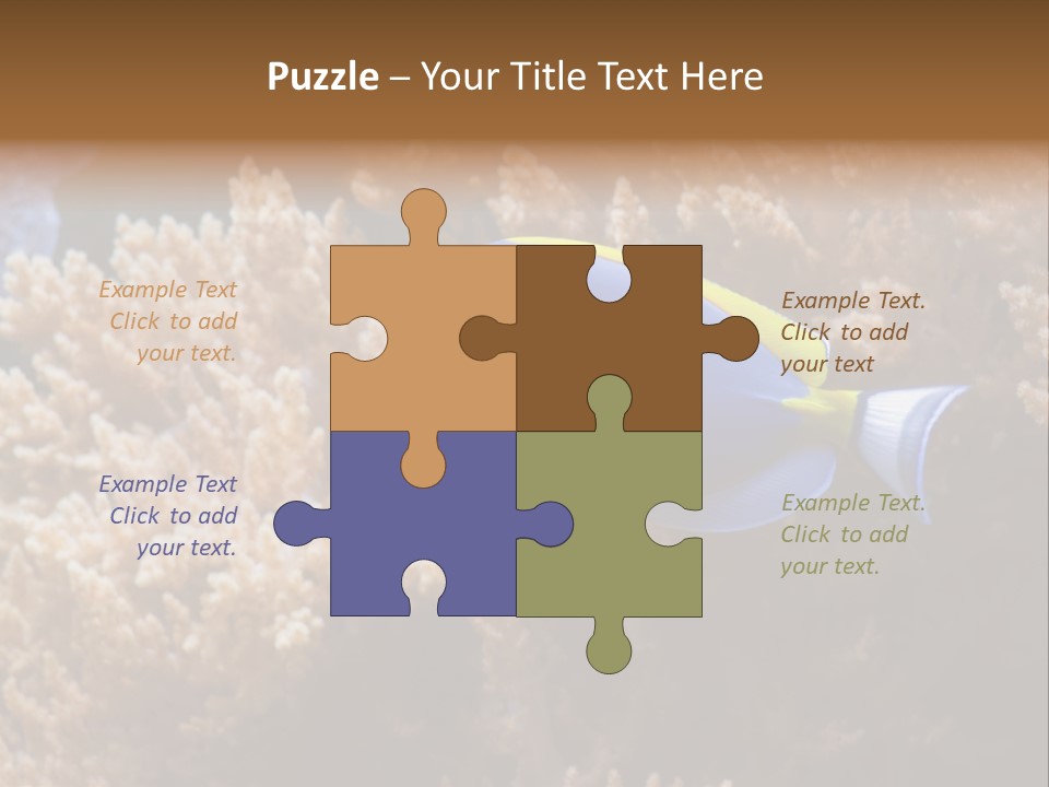 Fish Beauty Beautiful PowerPoint Template