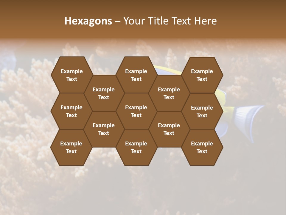 Fish Beauty Beautiful PowerPoint Template