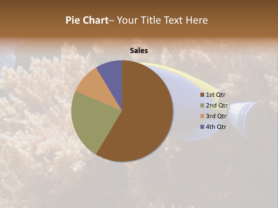 Fish Beauty Beautiful PowerPoint Template