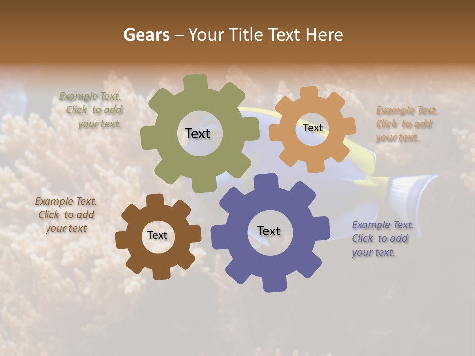 Fish Beauty Beautiful PowerPoint Template