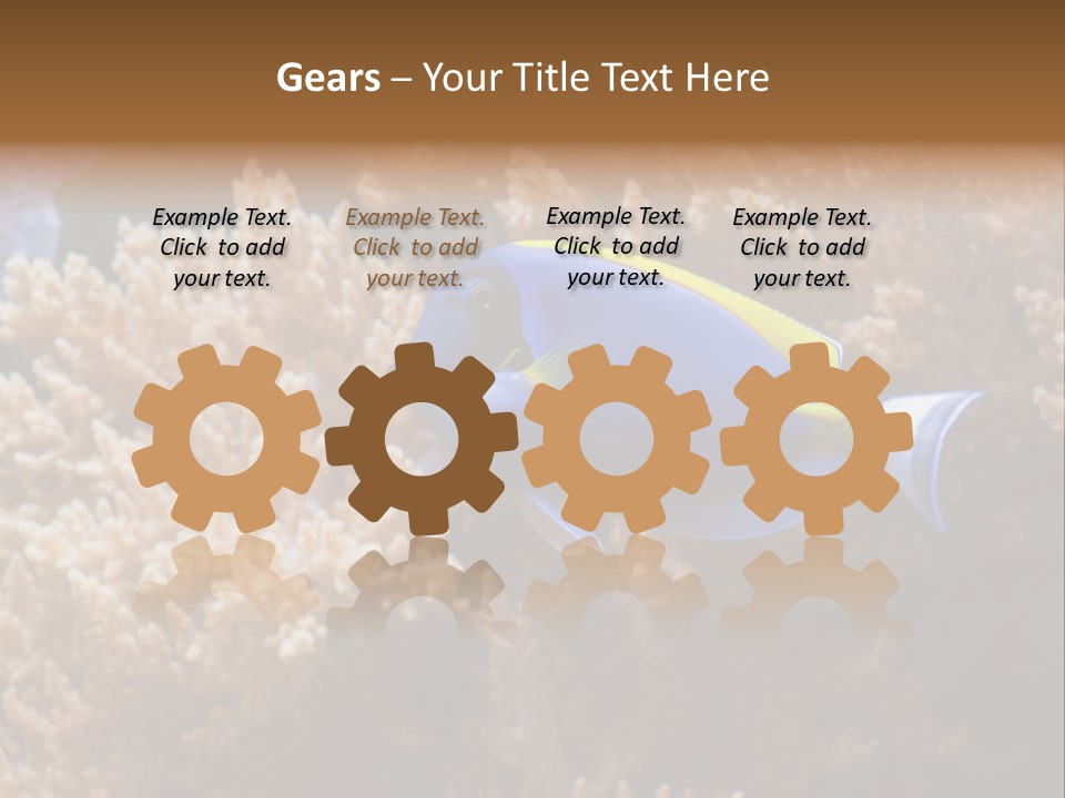 Fish Beauty Beautiful PowerPoint Template