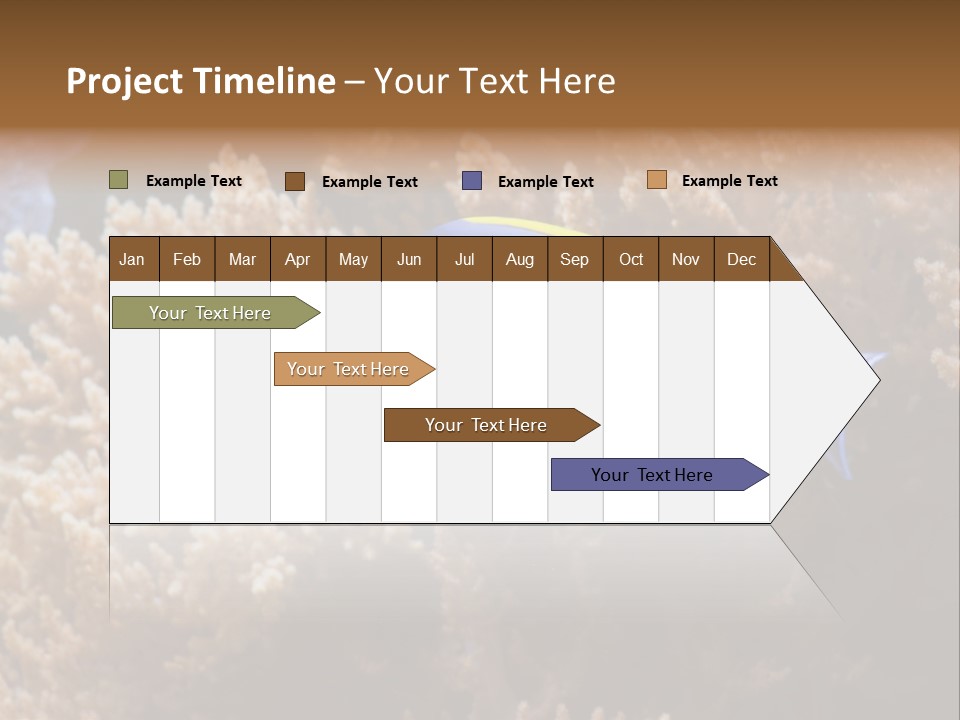 Fish Beauty Beautiful PowerPoint Template