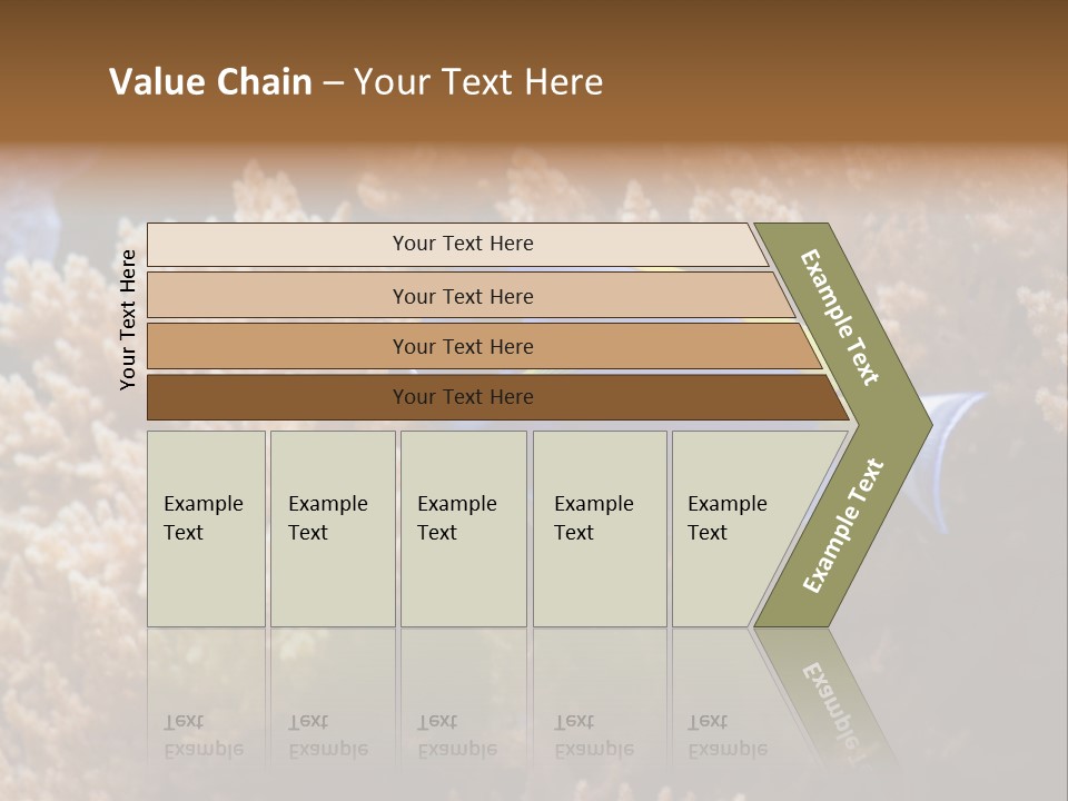 Fish Beauty Beautiful PowerPoint Template