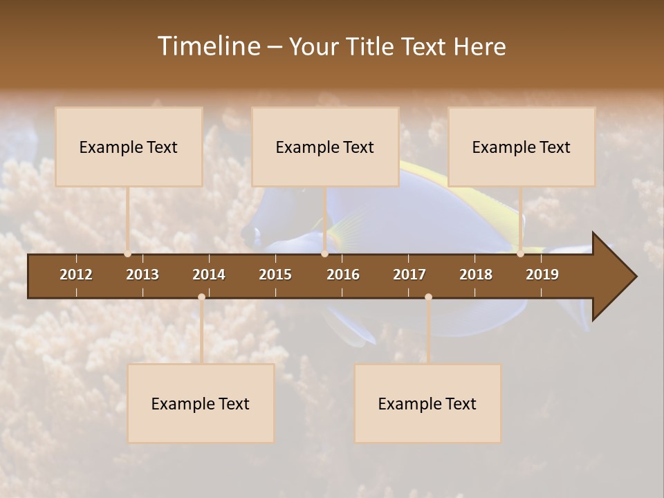 Fish Beauty Beautiful PowerPoint Template