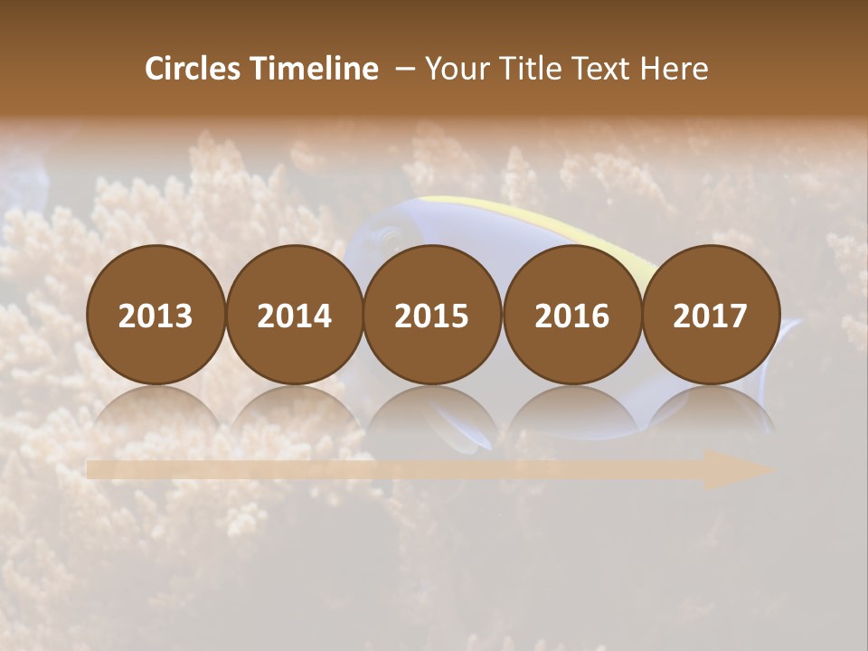 Fish Beauty Beautiful PowerPoint Template