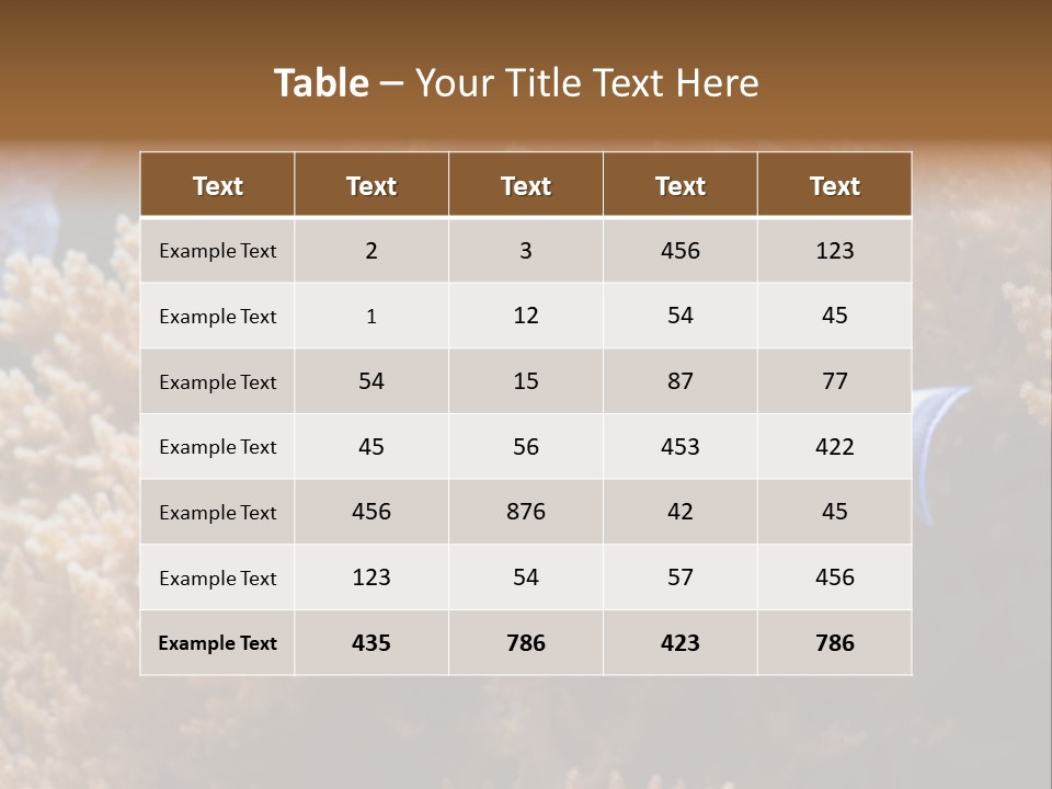 Fish Beauty Beautiful PowerPoint Template