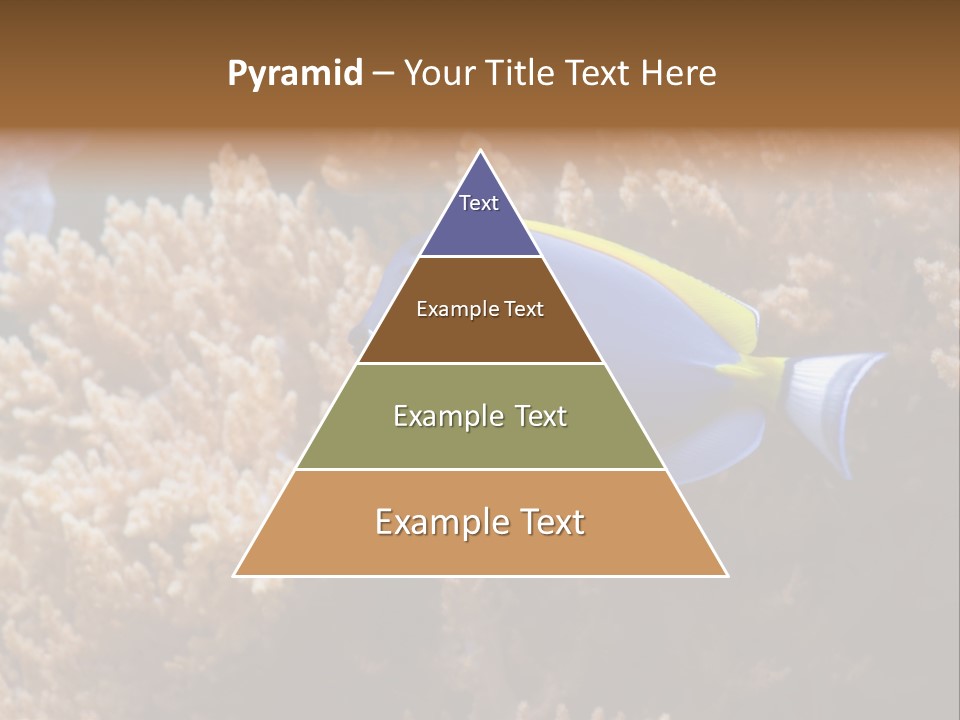 Fish Beauty Beautiful PowerPoint Template