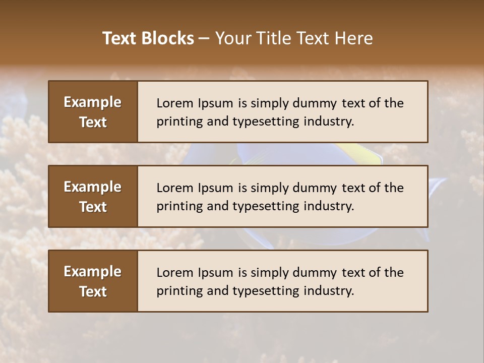 Fish Beauty Beautiful PowerPoint Template