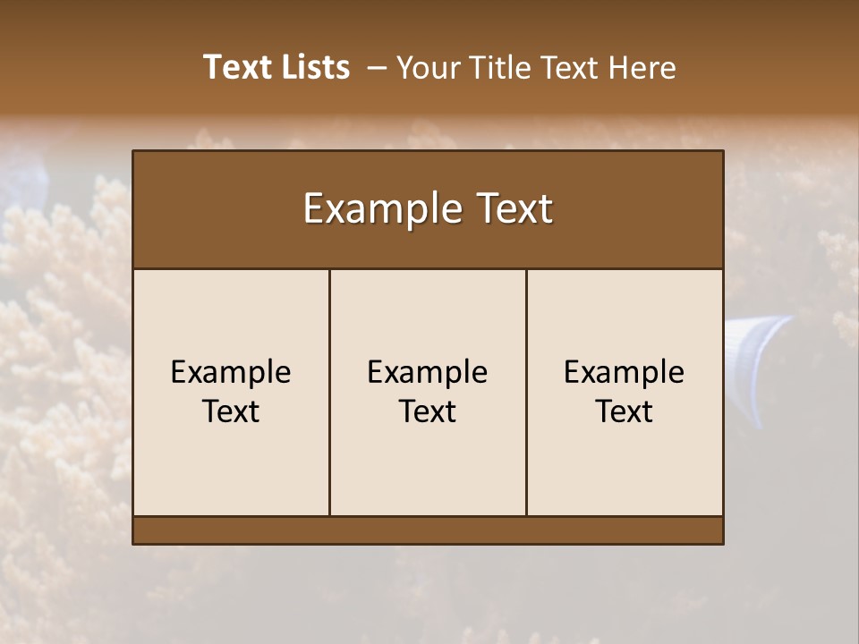 Fish Beauty Beautiful PowerPoint Template