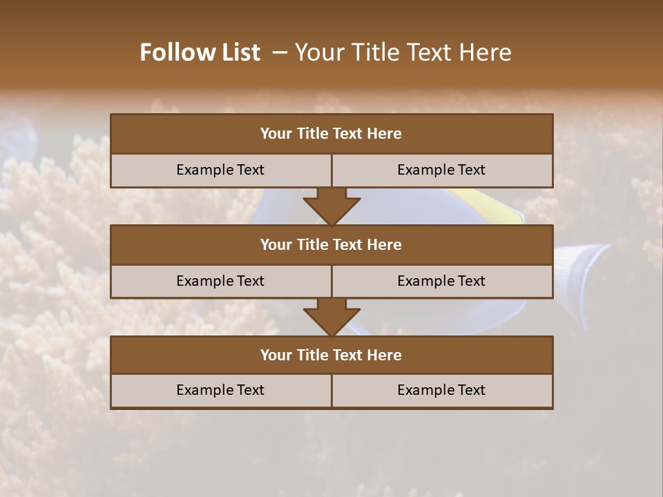 Fish Beauty Beautiful PowerPoint Template