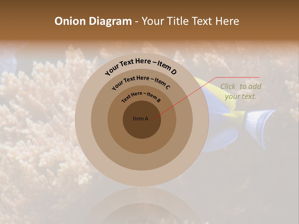 Fish Beauty Beautiful PowerPoint Template