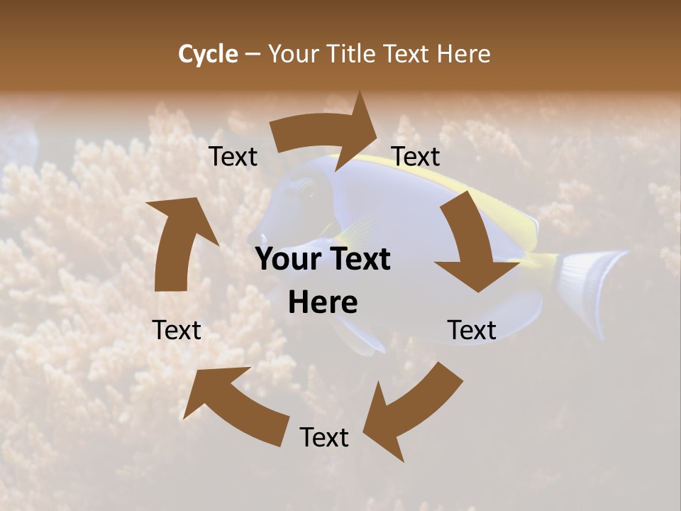 Fish Beauty Beautiful PowerPoint Template