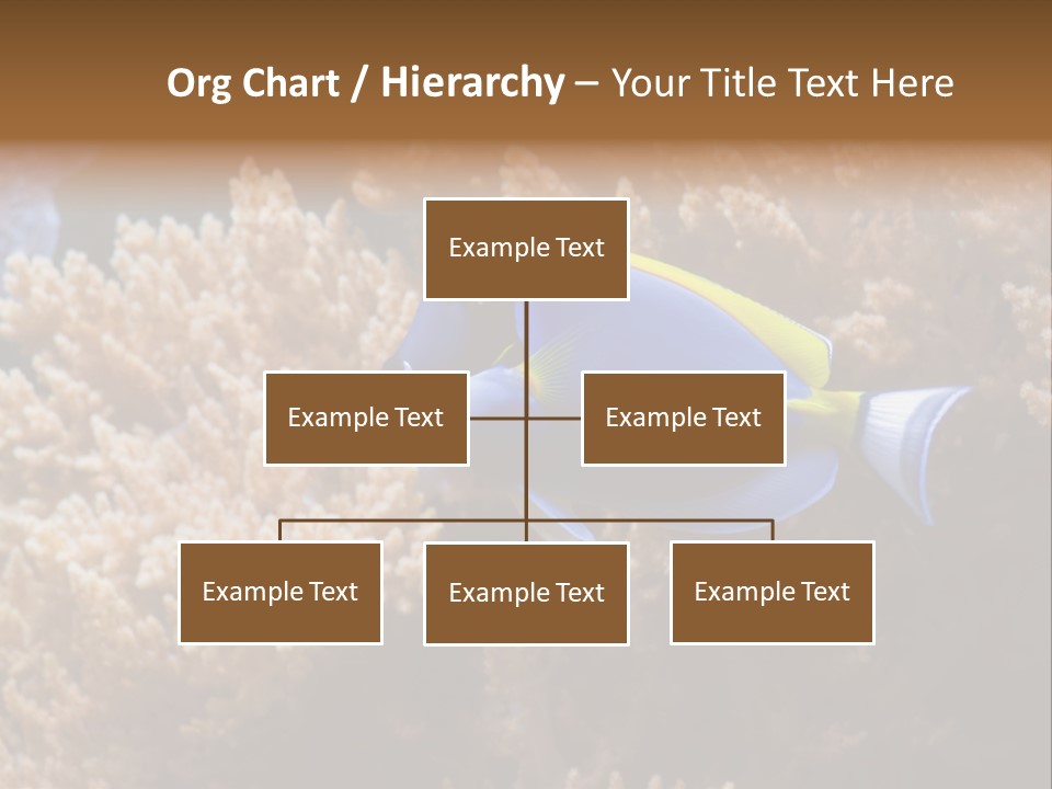 Fish Beauty Beautiful PowerPoint Template