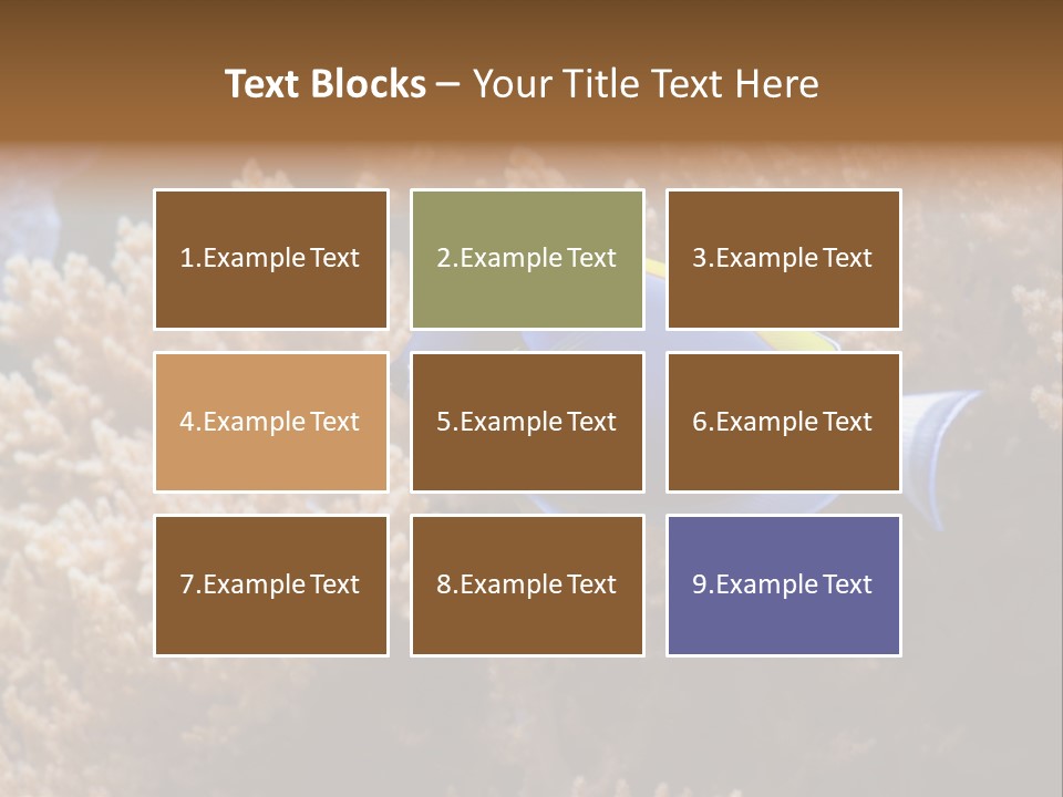 Fish Beauty Beautiful PowerPoint Template