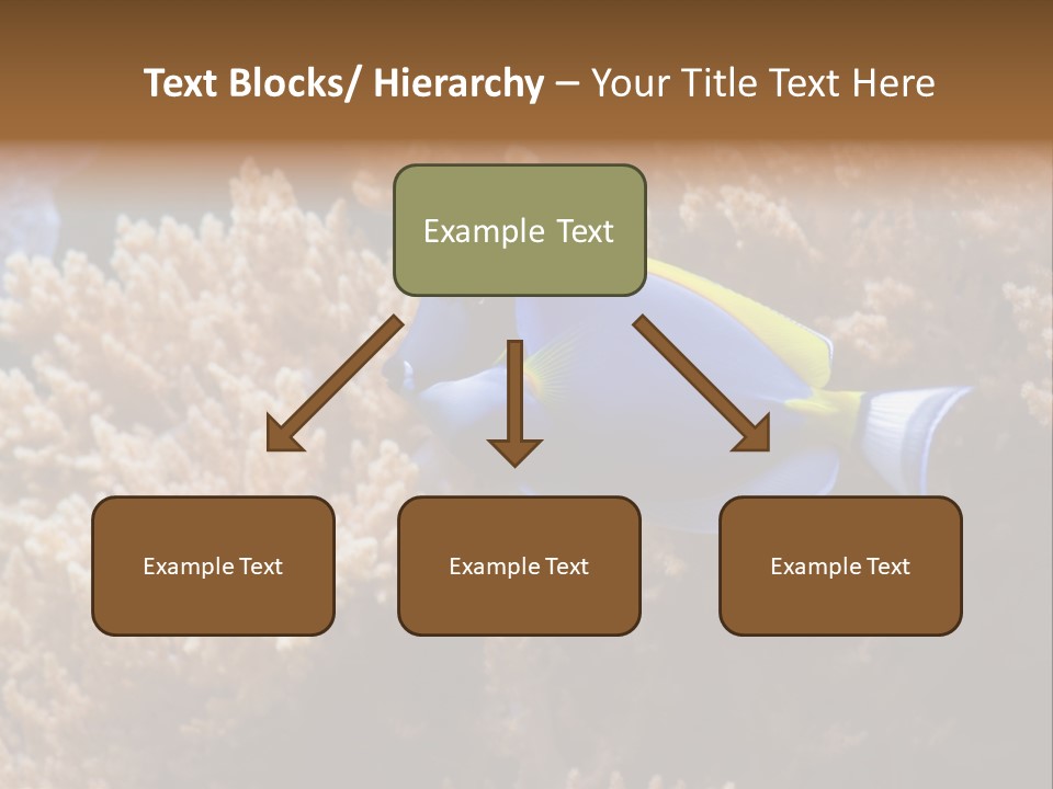 Fish Beauty Beautiful PowerPoint Template