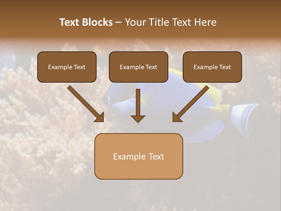 Fish Beauty Beautiful PowerPoint Template