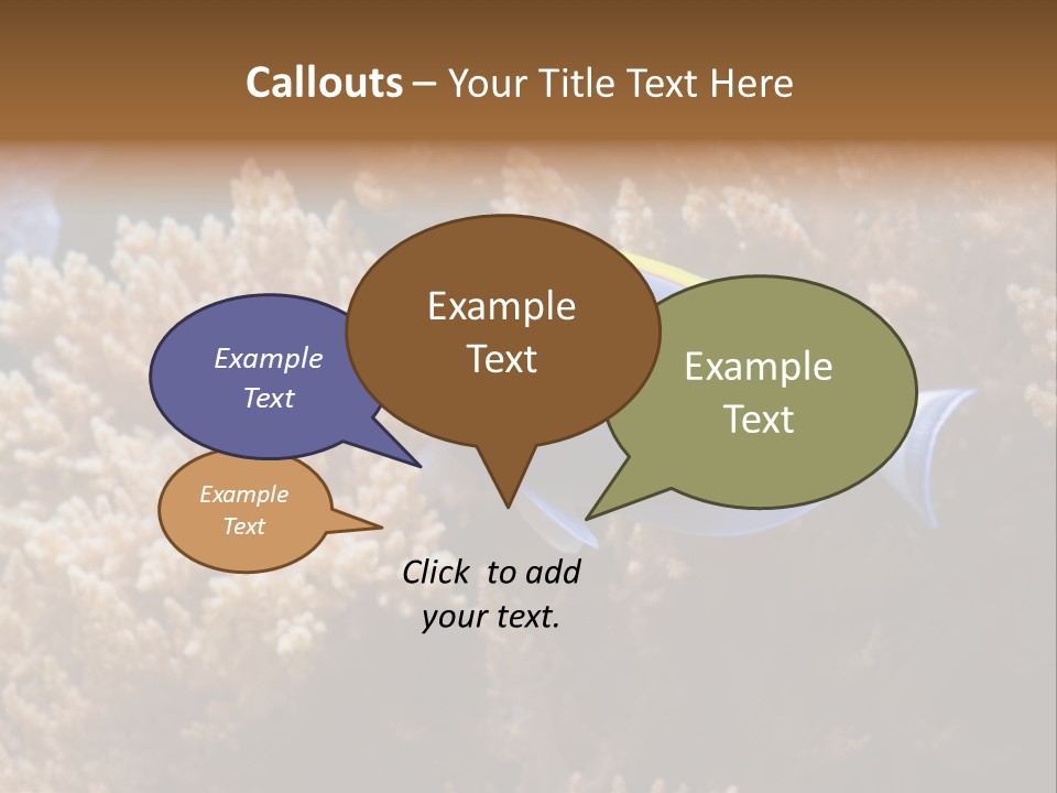 Fish Beauty Beautiful PowerPoint Template