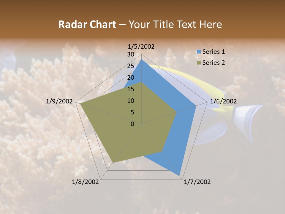 Fish Beauty Beautiful PowerPoint Template