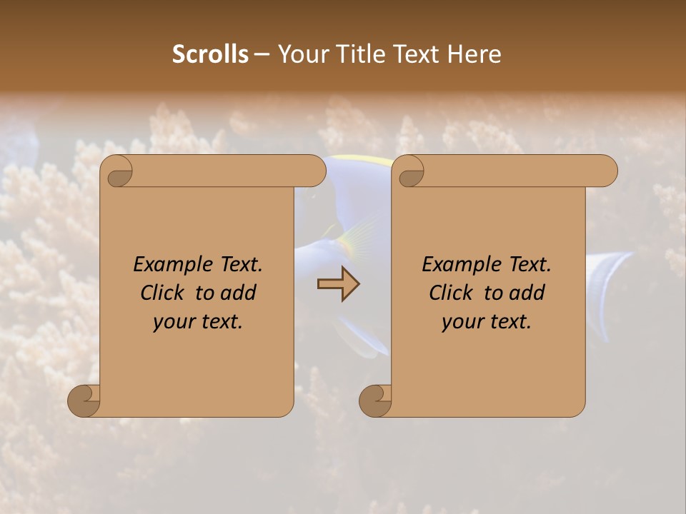 Fish Beauty Beautiful PowerPoint Template