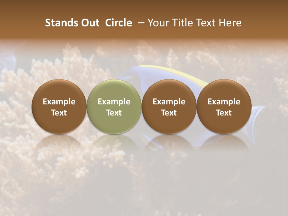 Fish Beauty Beautiful PowerPoint Template