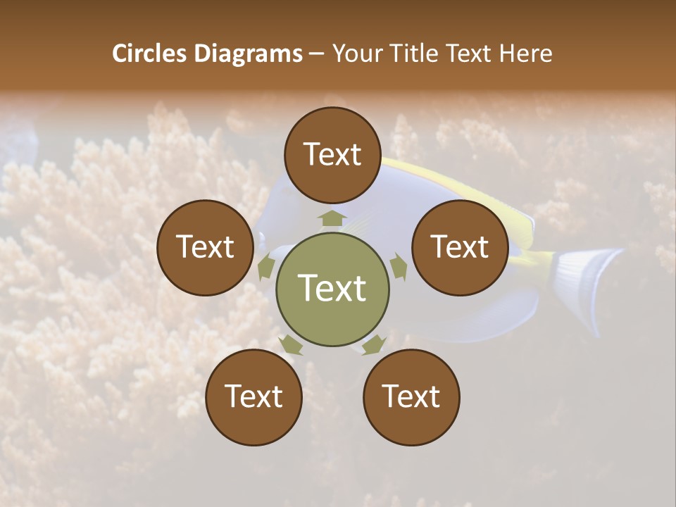 Fish Beauty Beautiful PowerPoint Template