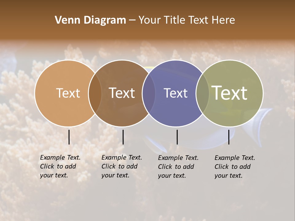 Fish Beauty Beautiful PowerPoint Template