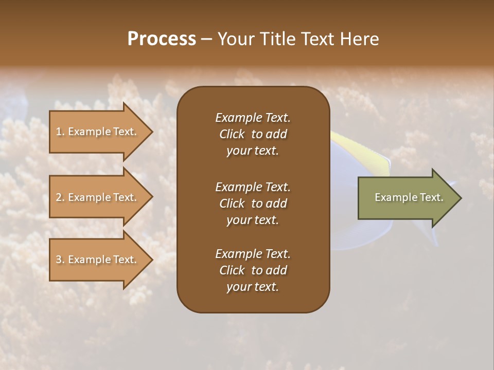 Fish Beauty Beautiful PowerPoint Template