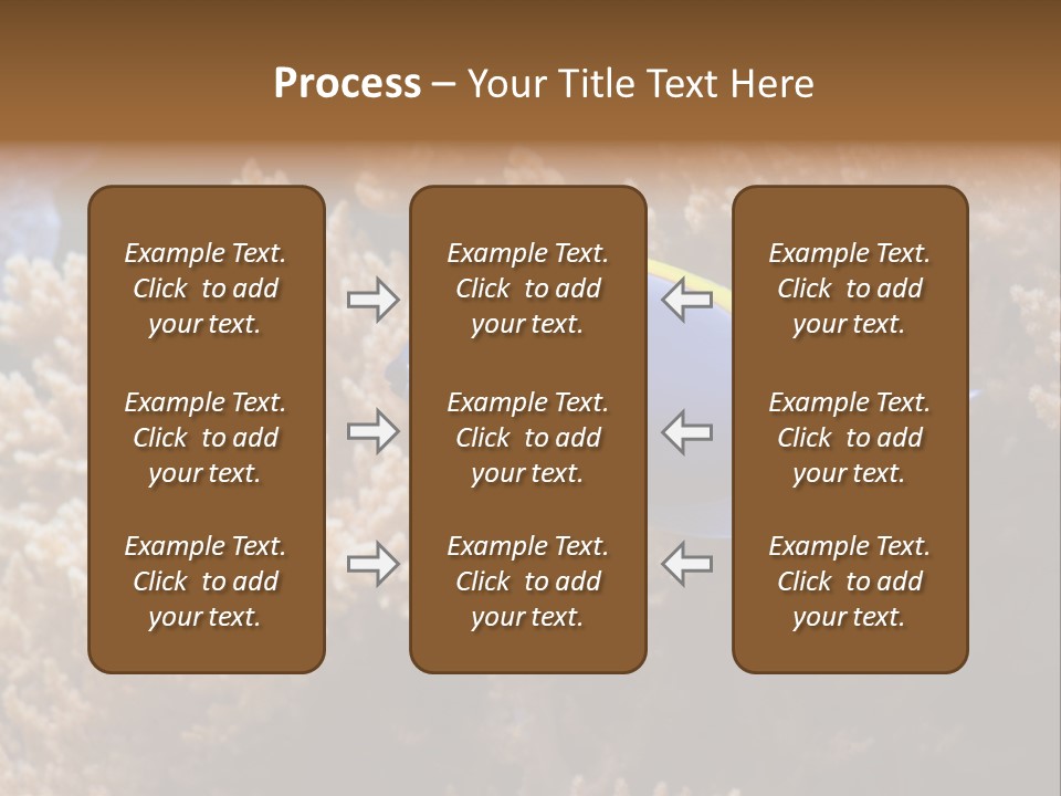 Fish Beauty Beautiful PowerPoint Template