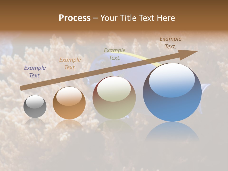 Fish Beauty Beautiful PowerPoint Template