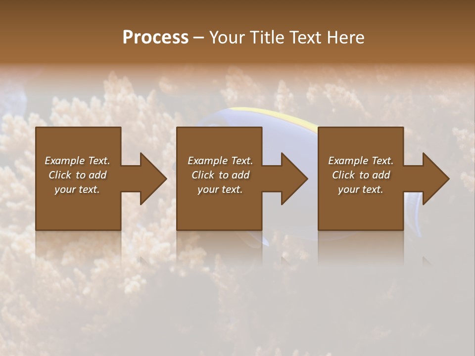 Fish Beauty Beautiful PowerPoint Template