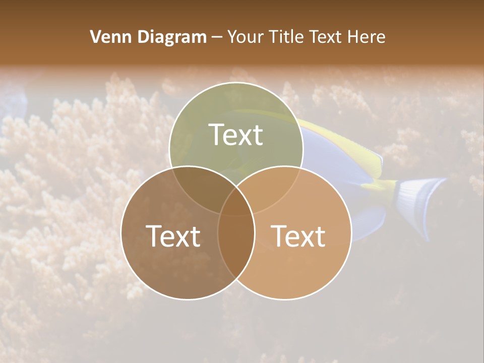 Fish Beauty Beautiful PowerPoint Template